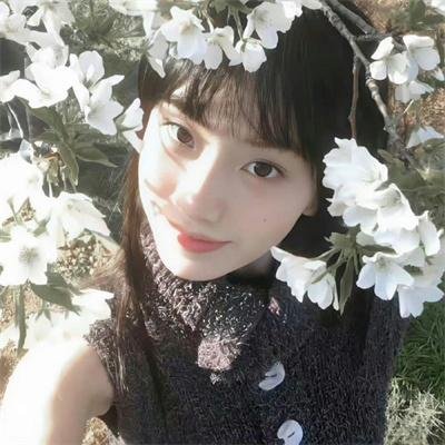 姊妹艳传 海报